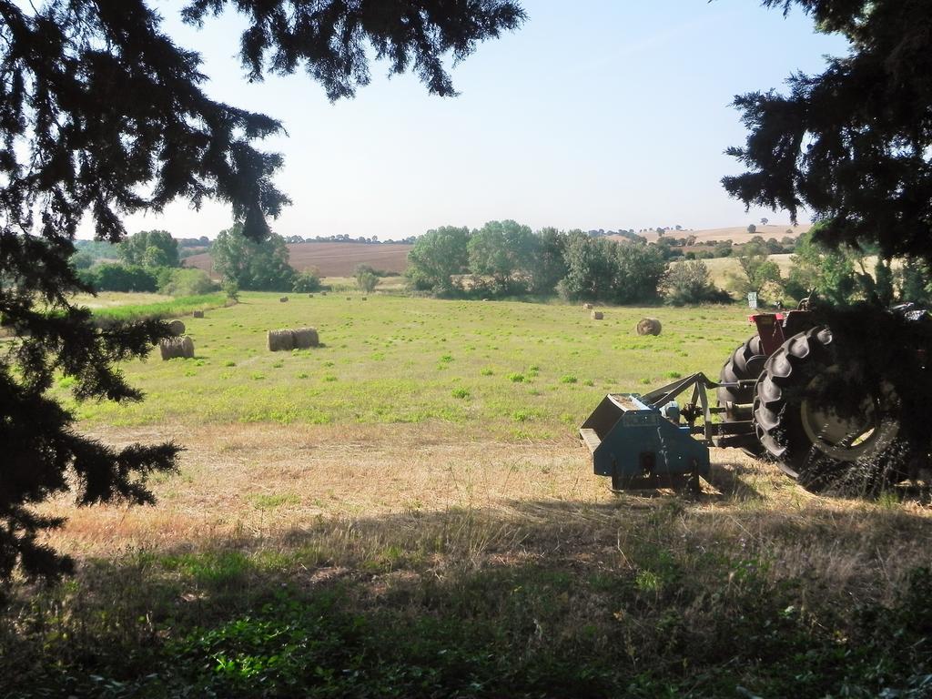 فيلا Agriturismo Pian Dell'Osa مونتيانو المظهر الخارجي الصورة