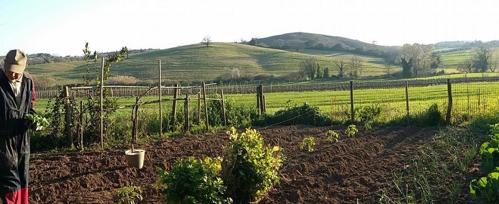 فيلا Agriturismo Pian Dell'Osa مونتيانو المظهر الخارجي الصورة